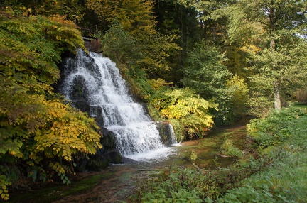 Cascade du parc